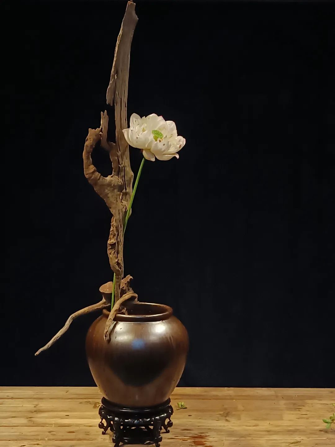 中日插花流派荷花插花荟萃,惊艳了夏日!(上)(中日插花文化对比论文)