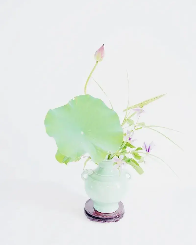 荷花插花美图第二波来袭,你最心仪哪一款?(荷花瓶插怎么养)