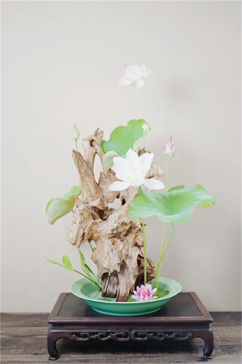 荷花插花美图第二波来袭,你最心仪哪一款?(荷花瓶插怎么养)