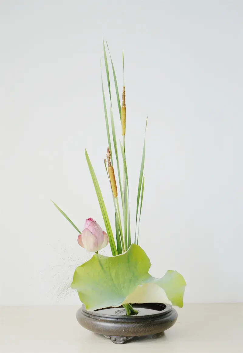 荷花插花美图第二波来袭,你最心仪哪一款?(荷花瓶插怎么养)