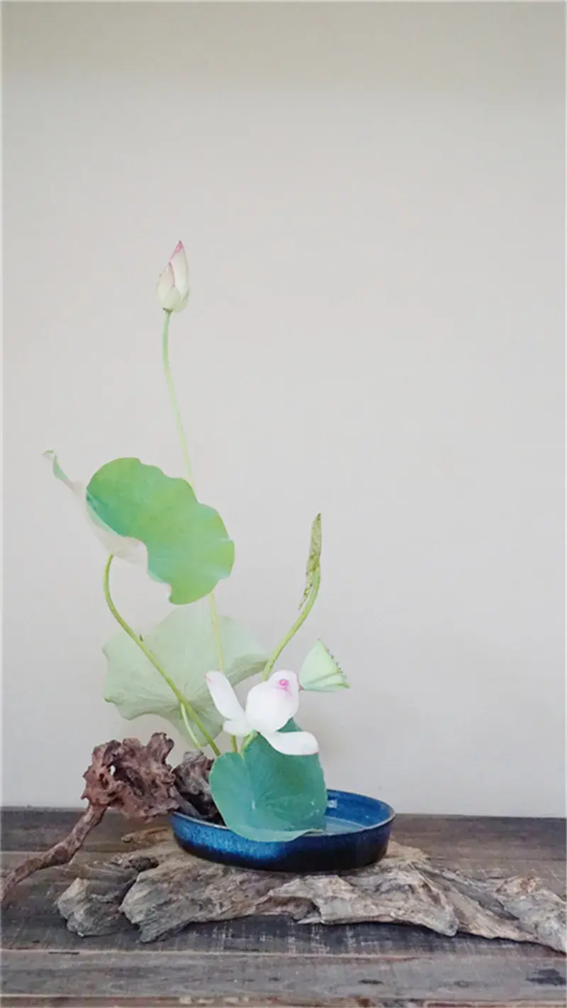 荷花插花美图第二波来袭,你最心仪哪一款?(荷花瓶插怎么养)