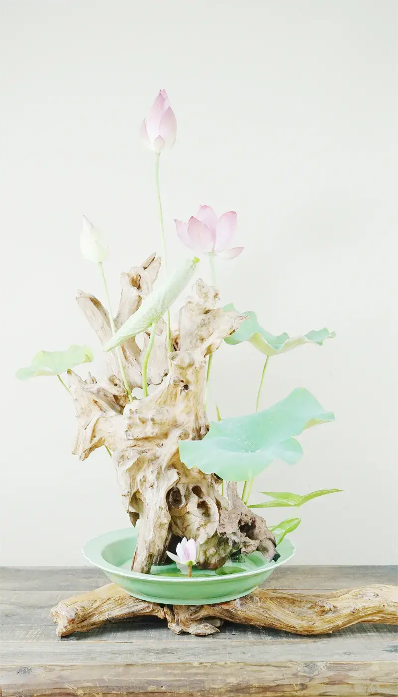 荷花插花美图第二波来袭,你最心仪哪一款?(荷花瓶插怎么养)