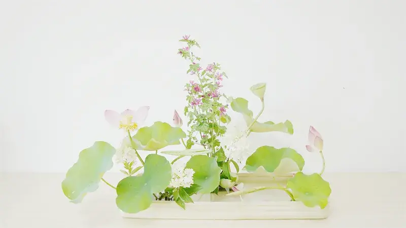 荷花插花美图第二波来袭,你最心仪哪一款?(荷花瓶插怎么养)