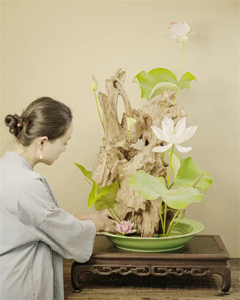 荷花插花美图第二波来袭,你最心仪哪一款?(荷花瓶插怎么养)