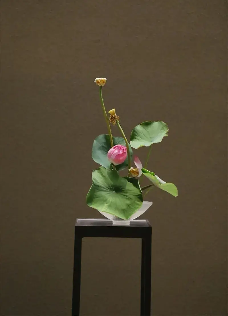 荷花插花美图第二波来袭,你最心仪哪一款?(荷花瓶插怎么养)