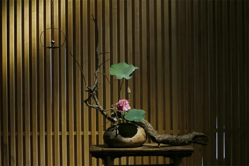 荷花插花美图第二波来袭,你最心仪哪一款?(荷花瓶插怎么养)