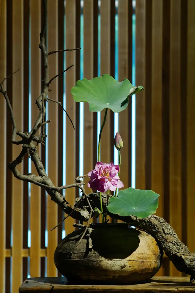 荷花插花美图第二波来袭,你最心仪哪一款?(荷花瓶插怎么养)