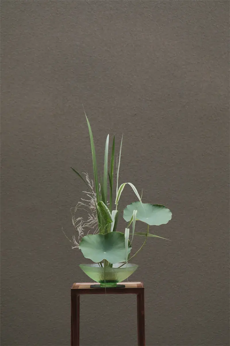 荷花插花美图第二波来袭,你最心仪哪一款?(荷花瓶插怎么养)