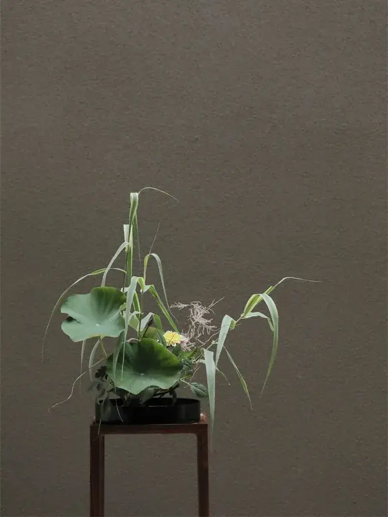 荷花插花美图第二波来袭,你最心仪哪一款?(荷花瓶插怎么养)