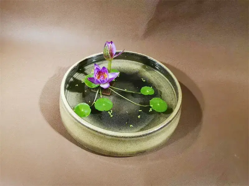 荷花插花美图第二波来袭,你最心仪哪一款?(荷花瓶插怎么养)