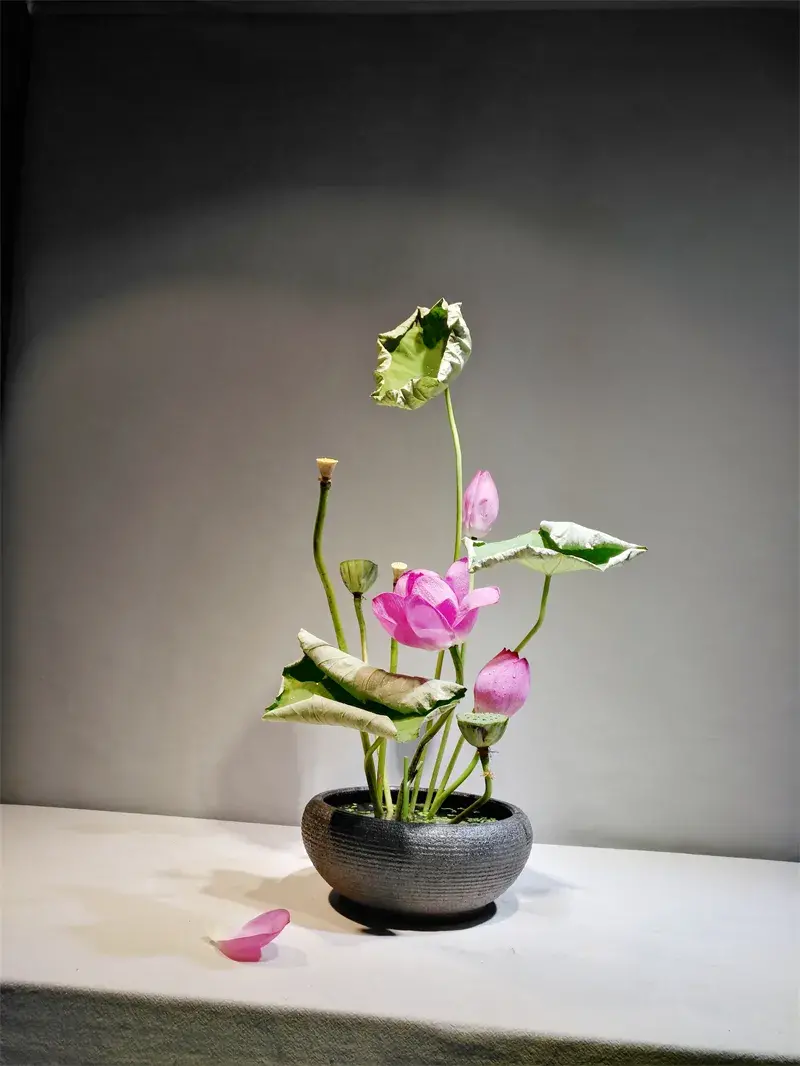 荷花插花美图第二波来袭,你最心仪哪一款?(荷花瓶插怎么养)