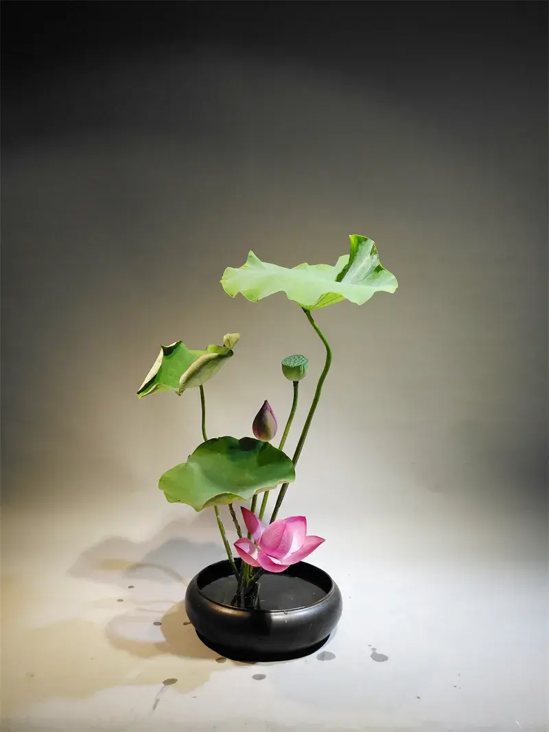 荷花插花美图第二波来袭,你最心仪哪一款?(荷花瓶插怎么养)