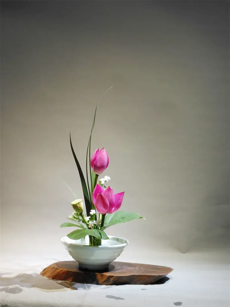 荷花插花美图第二波来袭,你最心仪哪一款?(荷花瓶插怎么养)