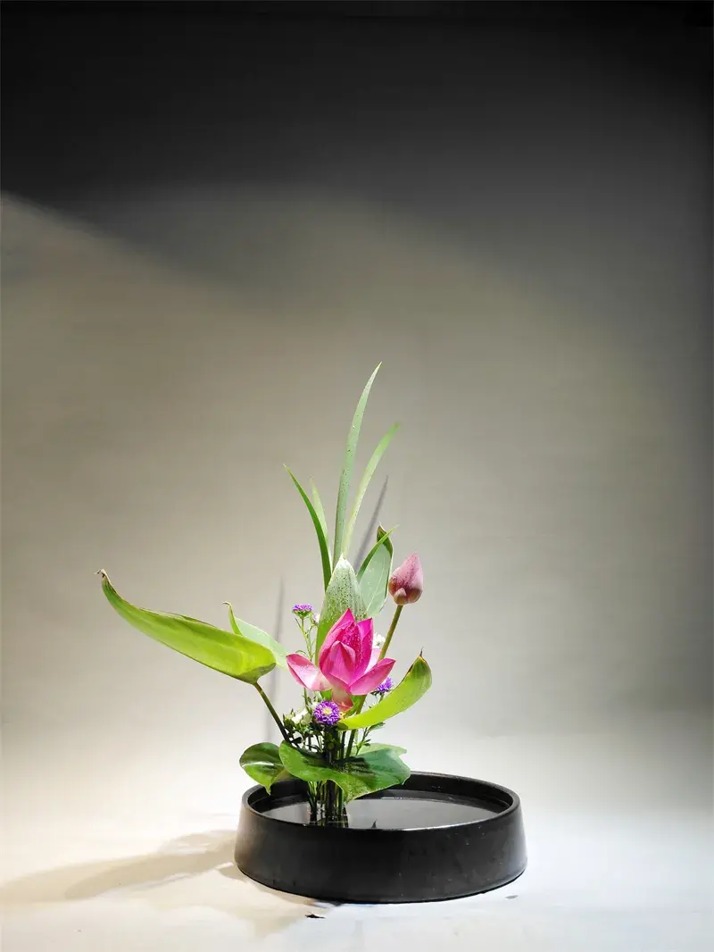 荷花插花美图第二波来袭,你最心仪哪一款?(荷花瓶插怎么养)