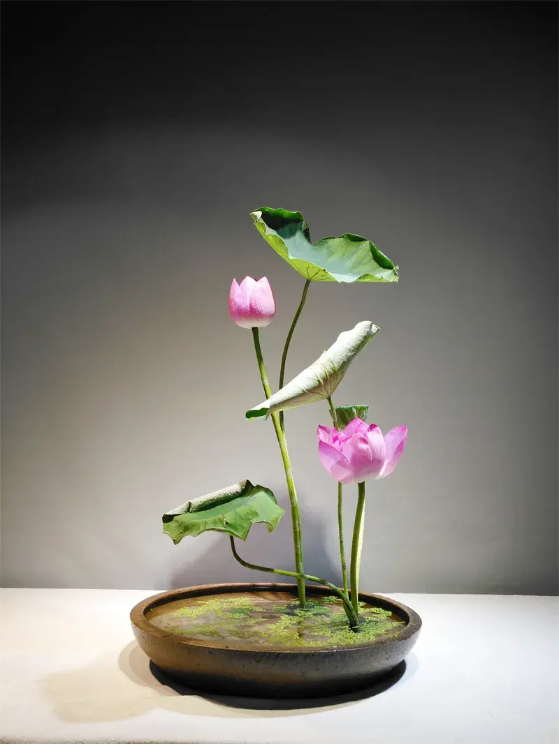 荷花插花美图第二波来袭,你最心仪哪一款?(荷花瓶插怎么养)