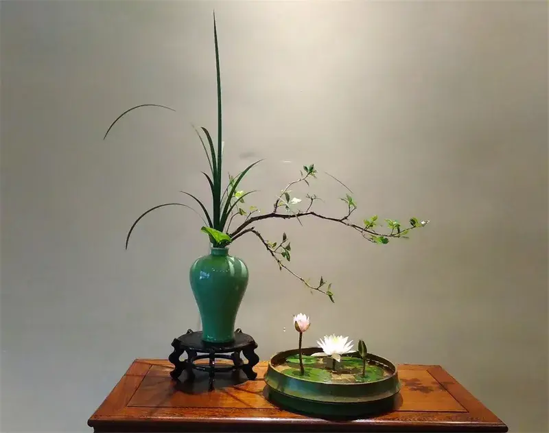 荷花插花美图第二波来袭,你最心仪哪一款?(荷花瓶插怎么养)