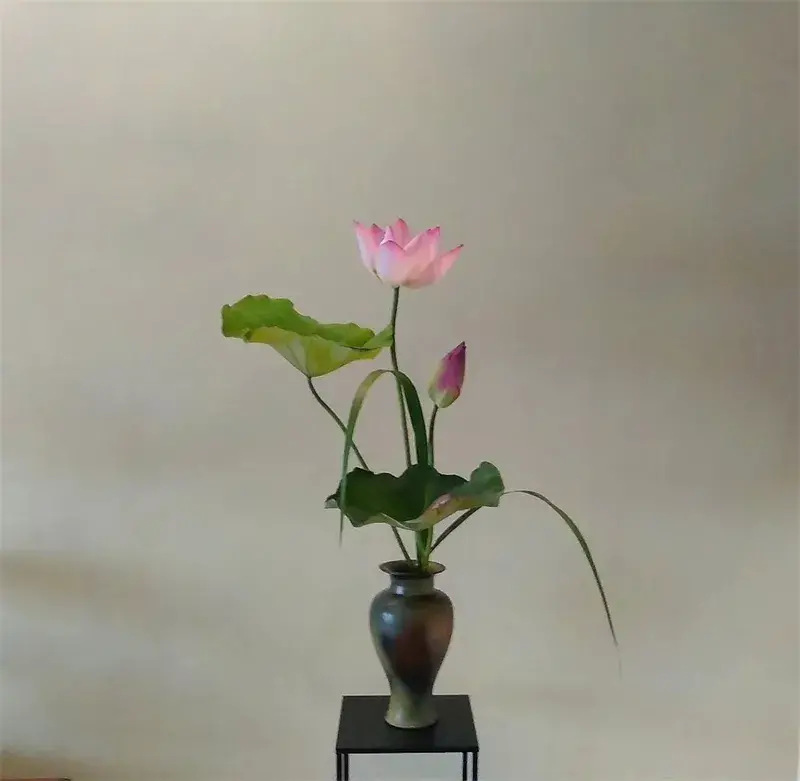 荷花插花美图第二波来袭,你最心仪哪一款?(荷花瓶插怎么养)