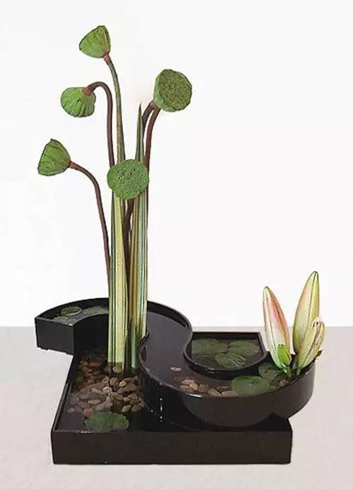 花道|插莲,莲花之意,唯有清心方可体会!(莲花图画优秀作品)