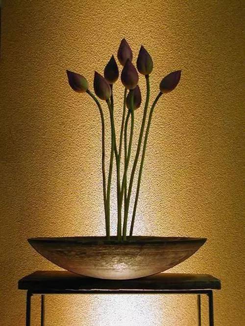 花道|插莲,莲花之意,唯有清心方可体会!(莲花图画优秀作品)