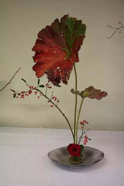 花道|插莲,莲花之意,唯有清心方可体会!(莲花图画优秀作品)