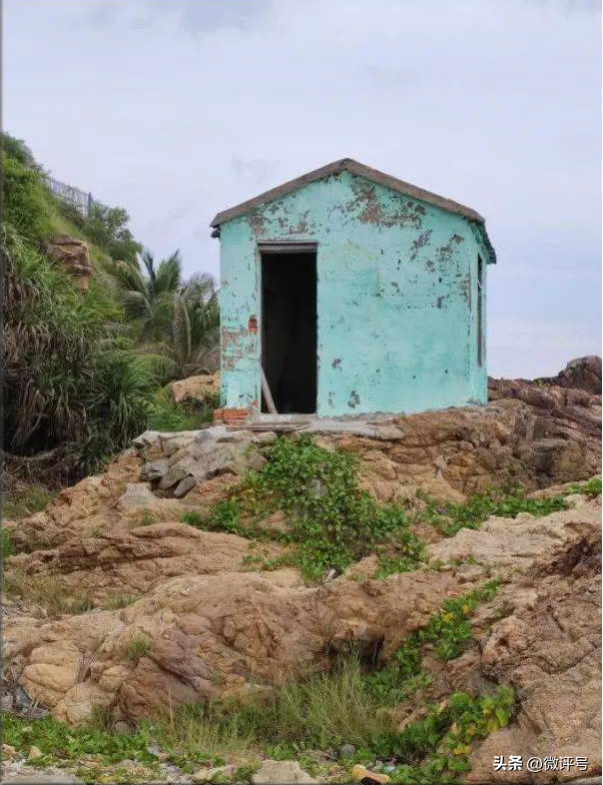 被骂上了热搜的小红书,到底该不该?(小红书上被人骂)