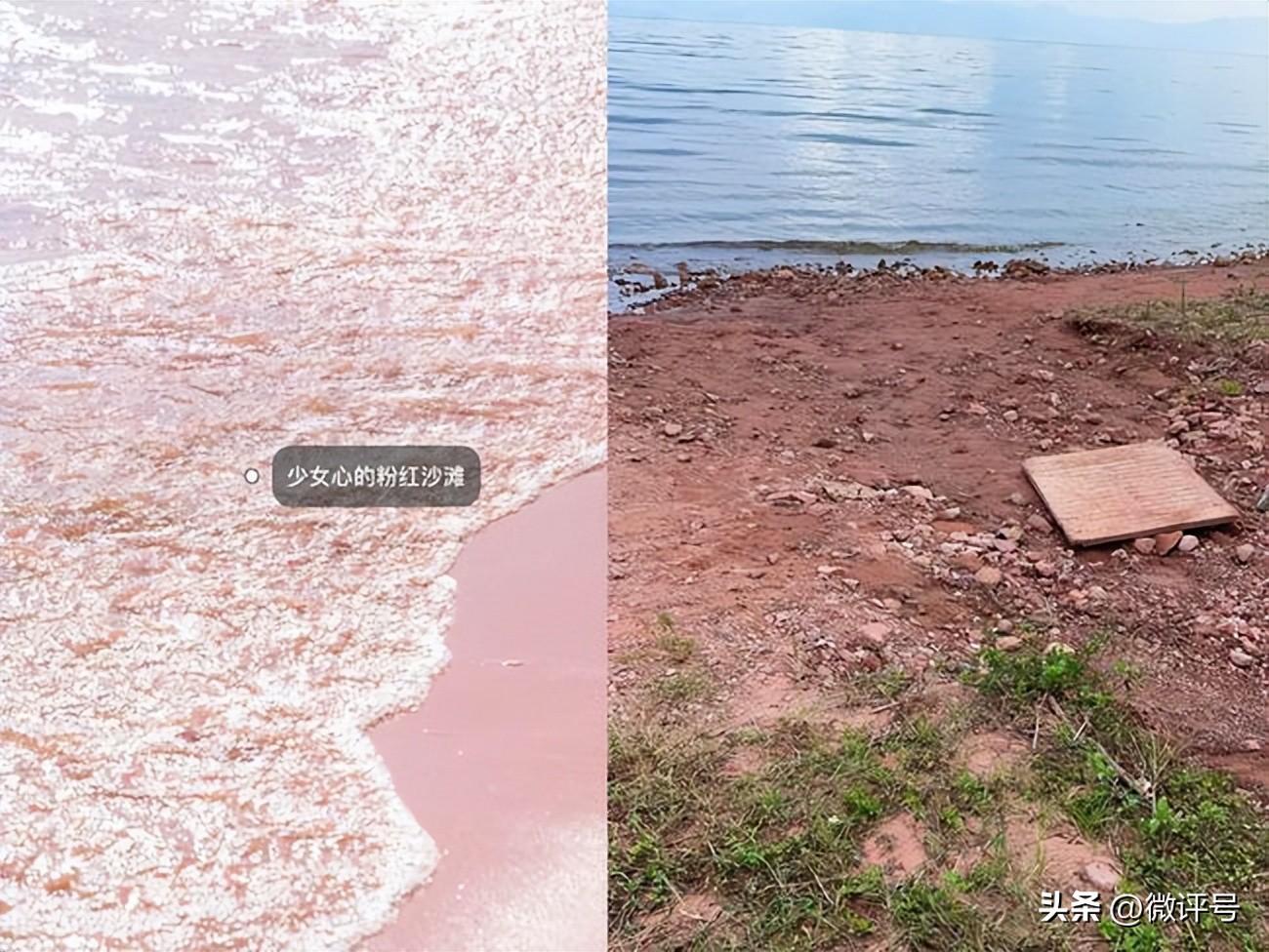 被骂上了热搜的小红书,到底该不该?(小红书上被人骂)