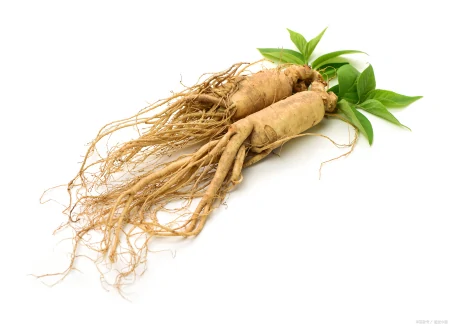 给长辈端午节送什么好?来看这4种,价钱不重要,心意最重要(端午节送长辈什么礼物最好)