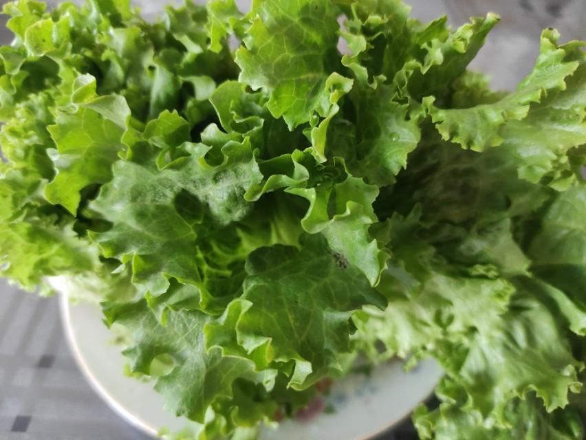 减肥日记曝光之喜得减肥秘方(减肥日记本)