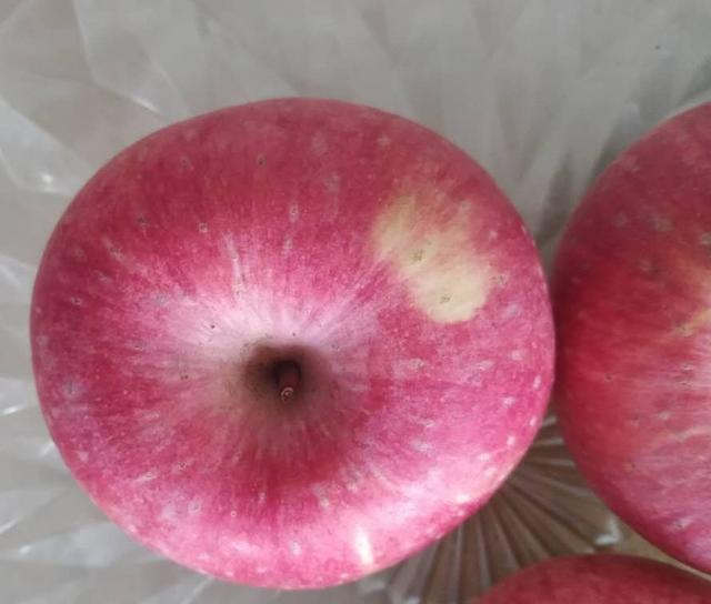 减肥日记曝光之喜得减肥秘方(减肥日记本)