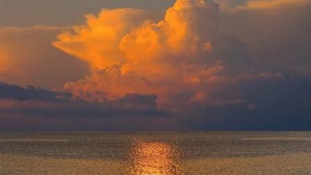 不断努力,实现自己的梦想-不断努力下去你的梦想会实现的