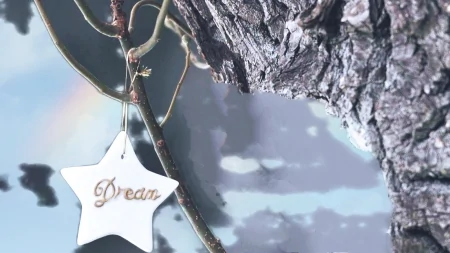 不断努力,实现自己的梦想-不断努力下去你的梦想会实现的