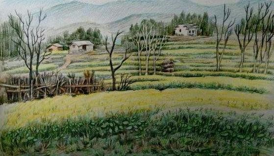 多维拉面部提升的的术后效果好不好-多维拉面部提升和线雕区别