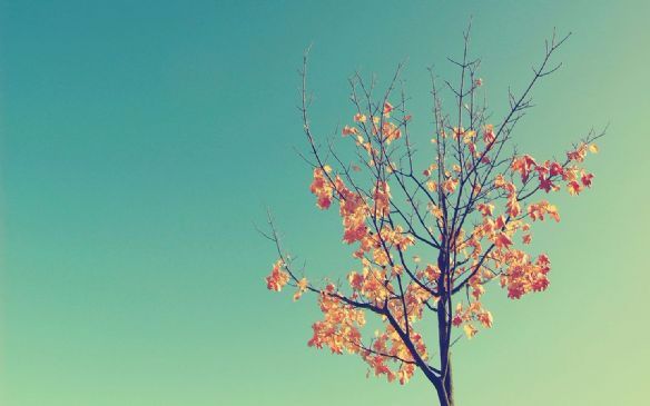 多维拉面部提升的的术后效果好不好-多维拉面部提升和线雕区别