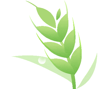 ¥168购1大1小【宝龙铂尔曼】味见八闽地道风味自助午/晚餐!(厦门宝龙泊尔曼大酒店简介电话)