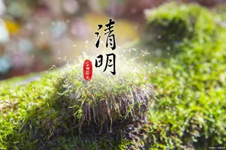 4月5日清明节,不管多忙,这5种食物别忘吃!祖宗的老传统不能丢(清明节的时候吃什么)