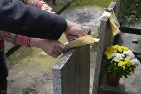 清明将至,闰二月清明节能不能上坟?各地都是如何过清明的?(2021年清明节那天可以上坟吗)