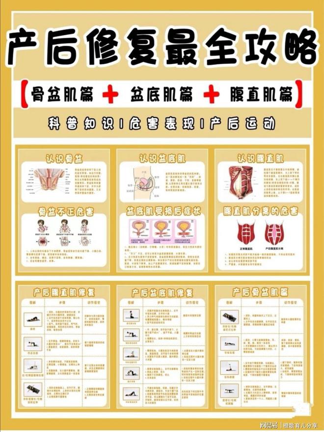 宝妈收藏|产后修复最全攻略告别妈妈肚-产后修复是怎么修复盆底肌的