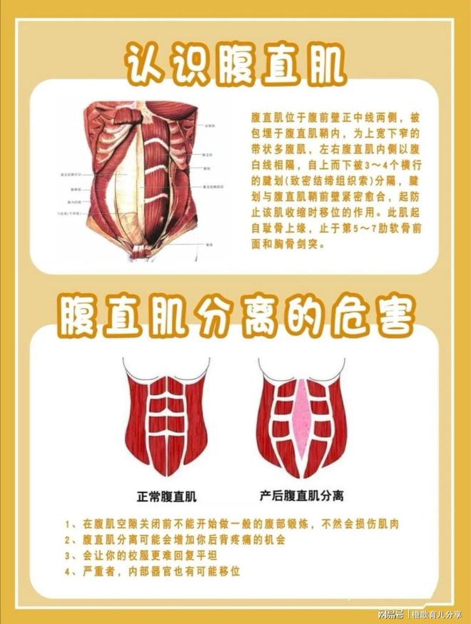 宝妈收藏|产后修复最全攻略告别妈妈肚-产后修复是怎么修复盆底肌的