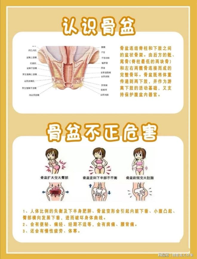 宝妈收藏|产后修复最全攻略告别妈妈肚-产后修复是怎么修复盆底肌的