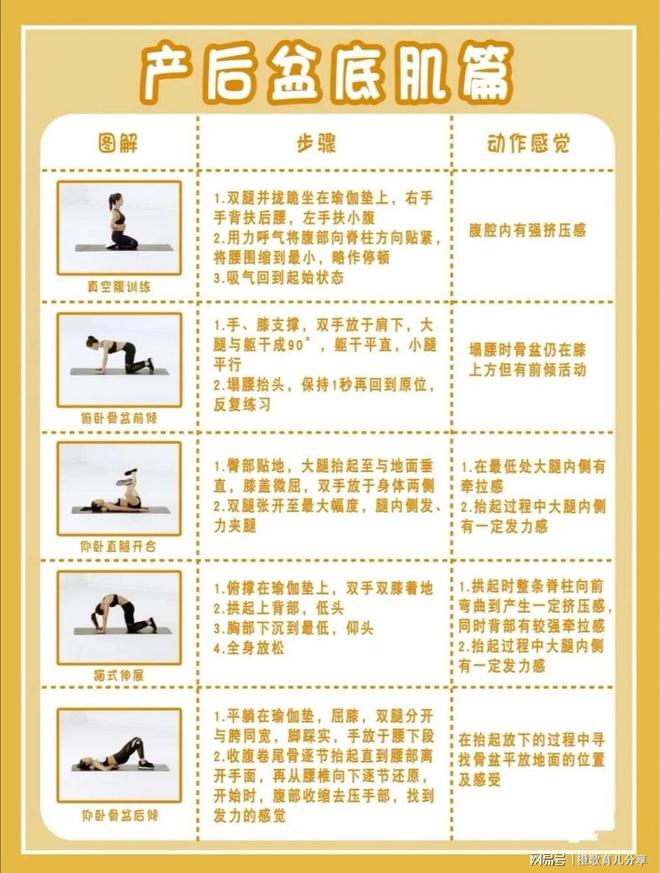 宝妈收藏|产后修复最全攻略告别妈妈肚-产后修复是怎么修复盆底肌的