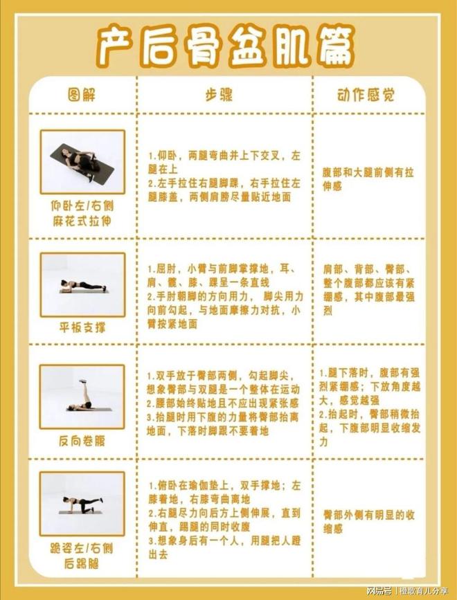 宝妈收藏|产后修复最全攻略告别妈妈肚-产后修复是怎么修复盆底肌的