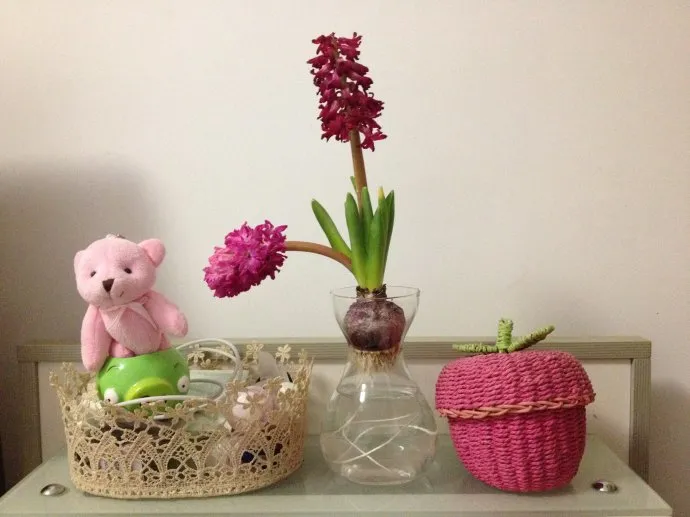 10首疗伤情歌:治愈你鲜血淋漓之心(疗伤治愈歌曲)