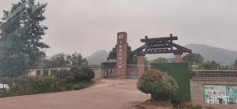 河南信阳某茶企涉嫌使用“驰名商标”违法宣传 当地监管部门:已整改到位-河南信阳茶厂