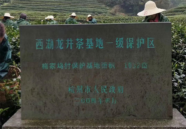 “西湖龙井”商标遭“冒用”,龙井茶叶产业协会起诉索赔-西湖龙井侵权案2020