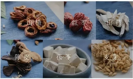 “吃得越饱,死得越早”,谣言还是科学?这套饮食法,早学早受益(吃得饱饿得快是怎么回事)