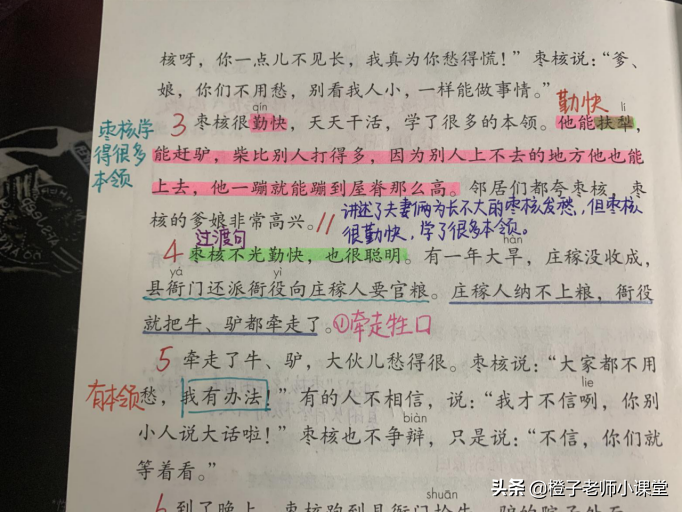 三年级课本《枣核》,语文老师整理笔记,体会枣核聪明勇敢-枣核课文三年级下册视频