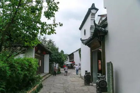 门票只需八十,总面积达11.5平方千米,浙江这个湿地公园值得一去(浙江湿地面积)