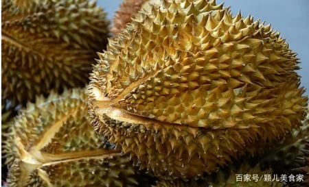 一棵树结果400多颗,榴莲为什么还那么贵?3个原因是关键,明白了(榴莲树为什么不结果)