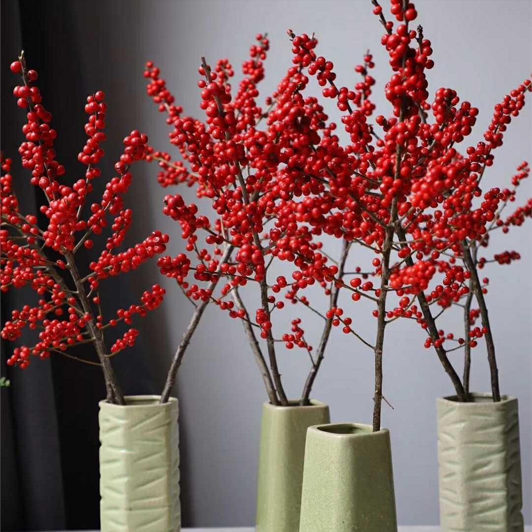 4种“贵族花”,漂亮又难养,价格上千元,养不了一年(比较贵族的名字)