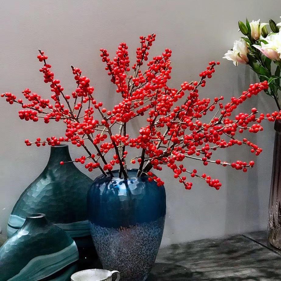 4种“贵族花”,漂亮又难养,价格上千元,养不了一年(比较贵族的名字)